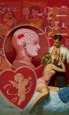 Illustration by Pop Narkotic